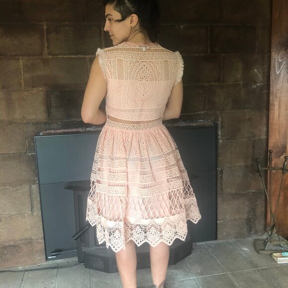 ALEXIS Sage Blossom Pink Embroidered Lace Floral Crochet Dress 4 6 / SMALL - Picture 2 of 3